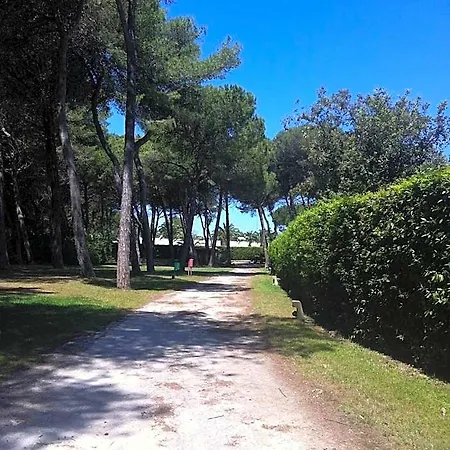 Serra Alimini 1 2*